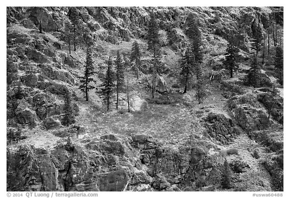 Rocky slopes and autumn colors, Lake Chelan. Washington (black and white)