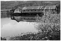 Wooden pier in autumn, Olympic Peninsula. Olympic Peninsula, Washington ( black and white)