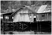 Old wooden pier, Olympic Peninsula. Olympic Peninsula, Washington (black and white)