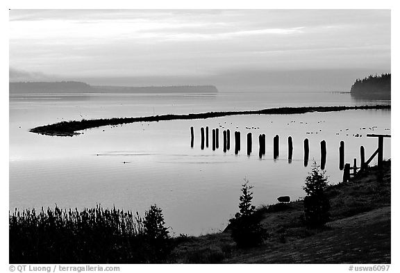 Foggy morning, Puget Sound. Olympic Peninsula, Washington (black and white)