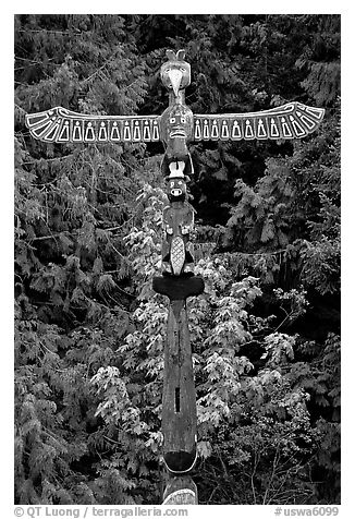 Totem Pole, Olympic Peninsula. Olympic Peninsula, Washington (black and white)