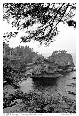 Sea cliffs, Cape Flattery, Olympic Peninsula. Olympic Peninsula, Washington (black and white)