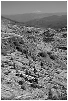 Slopes covered with trees downed by the eruption, Mt Hood in the distance. Mount St Helens National Volcanic Monument, Washington (black and white)