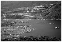 Spirit Lake, partly covered with floating logs. Mount St Helens National Volcanic Monument, Washington (black and white)