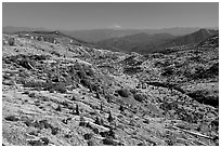 Slopes covered with trees downed by the eruption, Mt Hood in the distancet. Mount St Helens National Volcanic Monument, Washington (black and white)