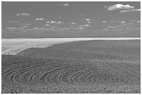 Field with curved plowing patterns, The Palouse. Washington (black and white)