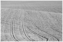 Field with curved plowing lines, The Palouse. Washington (black and white)