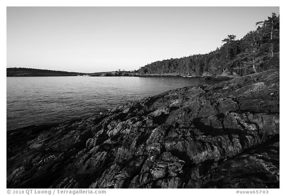 Iceberg Point, Lopez Island. Washington (black and white)