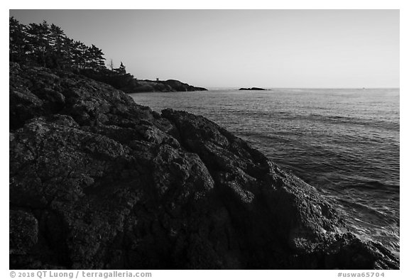 Iceberg Point at sunset, Lopez Island. Washington (black and white)