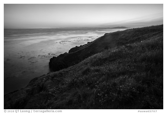 Coastline with wildflowers at sunset near Iceberg Point, Lopez Island. Washington (black and white)