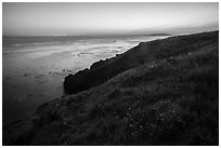 Coastline with wildflowers at sunset near Iceberg Point, Lopez Island. Washington ( black and white)