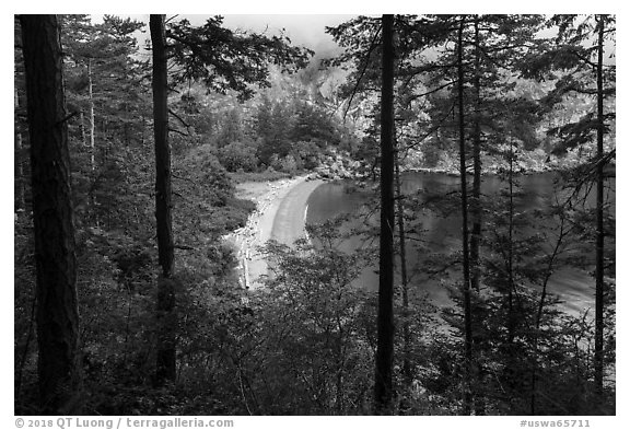 Beach through forest from above, Watmough Bay, Lopez Island. Washington (black and white)