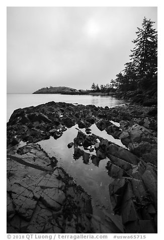 Rocky shore with pool and marine layer, Watmough Bay, Lopez Island. Washington (black and white)