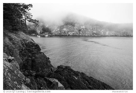 Watmough Bay in fog, Lopez Island. Washington (black and white)