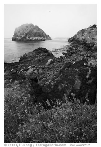 Point Colville, Lopez Island. Washington (black and white)