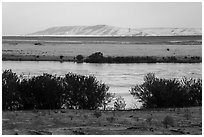 Columbia River and Rattlesnake Mountains, Wahluke Unit, Hanford Reach National Monument. Washington ( black and white)