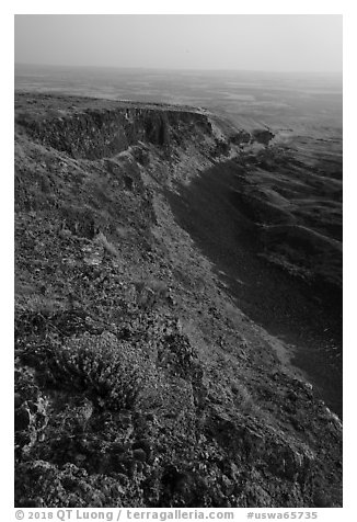 Wildflowers and cliff, Saddle Mountain, Hanford Reach National Monument. Washington (black and white)