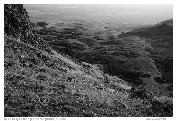 Grasses, rocks, and rolling hills, Saddle Mountain, Hanford Reach National Monument. Washington (black and white)