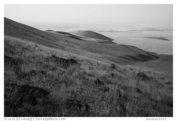 Rocks and grasses on hills and plain, Saddle Mountain Unit, Hanford Reach National Monument. Washington (black and white)