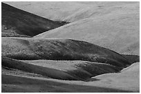 Grassy hills, Saddle Mountain Unit, Hanford Reach National Monument. Washington ( black and white)