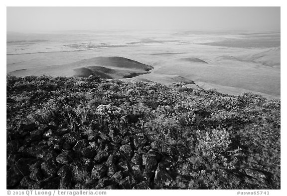 Volcanic rocks and plain, Saddle Mountain Unit, Hanford Reach National Monument. Washington (black and white)