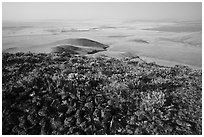 Volcanic rocks and plain, Saddle Mountain Unit, Hanford Reach National Monument. Washington ( black and white)