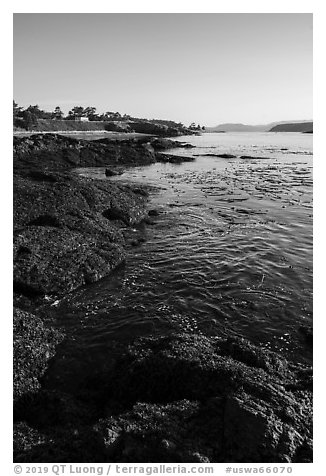 Coastline, strait with kelp, Cattle Point NRCA, San Juan Islands National Monument. Washington (black and white)