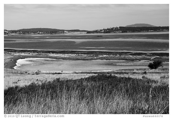 Jackles Lagoon, San Juan Island. Washington (black and white)