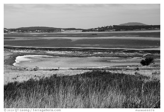 Jackles Lagoon, San Juan Island. Washington (black and white)