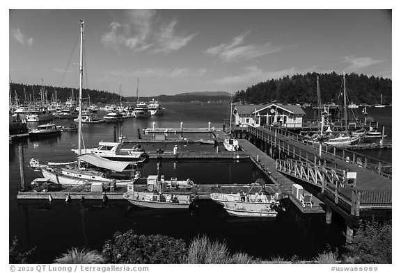 Marina, Friday Harbor, San Juan Island. Washington (black and white)