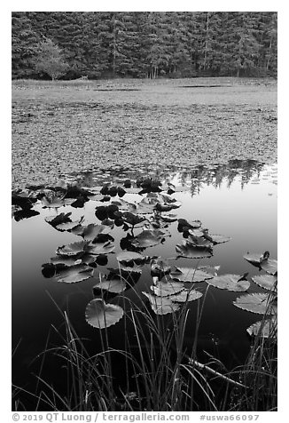 Summit Lake, Moran State Park. Washington (black and white)