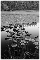 Summit Lake, Moran State Park. Washington ( black and white)