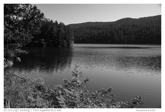 Mountain Lake, Moran State Park. Washington (black and white)