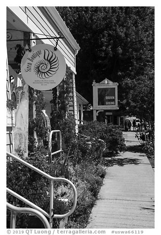 Sidewalk, Eastsound, Orcas Island. Washington (black and white)