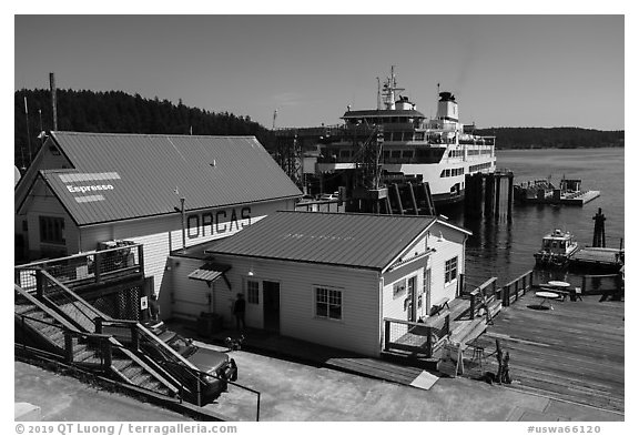 Ferry at terminal, Orcas Island. Washington (black and white)