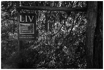 Lopez Island Vineyard and Winery sign, Lopez Island. Washington ( black and white)