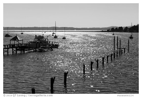 Backlit Fisherman Bay, Lopez Island. Washington (black and white)