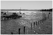 Backlit Fisherman Bay, Lopez Island. Washington ( black and white)