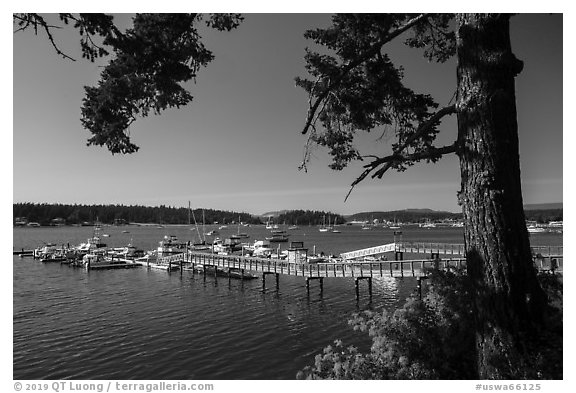 Pier, Fisherman Bay, Lopez Island. Washington (black and white)