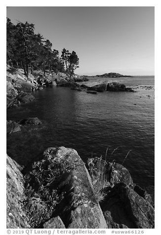 Shark Reef Sanctuary, Lopez Island. Washington (black and white)