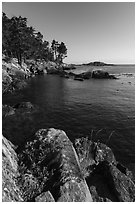 Shark Reef Sanctuary, Lopez Island. Washington ( black and white)