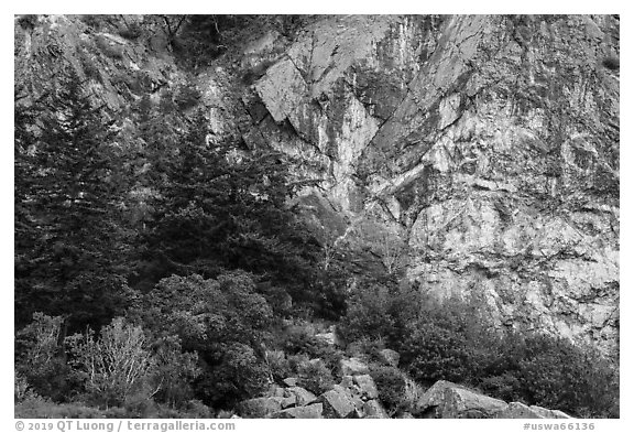 Cliffs, Watmough Bay, San Juan Islands National Monument, Lopez Island. Washington (black and white)