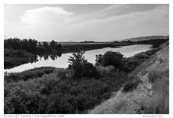 Banks of free-flowing section of Columbia River with verdant vegetation, Ringold Unit, Hanford Reach National Monument. Washington (black and white)