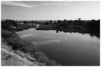 Side arm of Columbia River, Ringold Unit, Hanford Reach National Monument. Washington ( black and white)