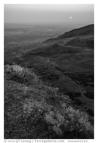 Saddle Mountain, sunrise, Hanford Reach National Monument. Washington (black and white)