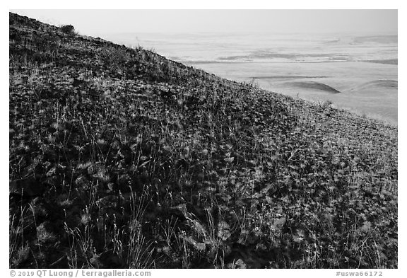 Hill with volcanic rocks and distant valley, Hanford Reach National Monument. Washington (black and white)