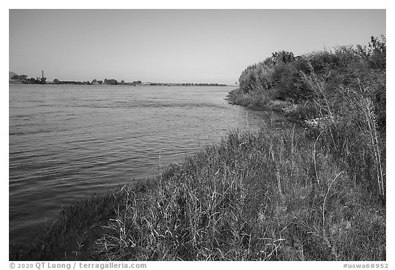 Columbia River grassy shore with reactor in background, Hanford Reach National Monument. Washington (black and white)