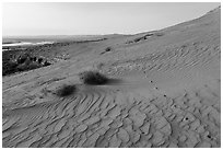 Ripples and wildlife track on sand dunes, Hanford Reach National Monument. Washington ( black and white)
