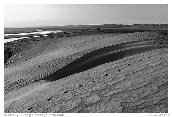 Animal tracks, sand dunes, and Locke Island, Hanford Reach National Monument. Washington