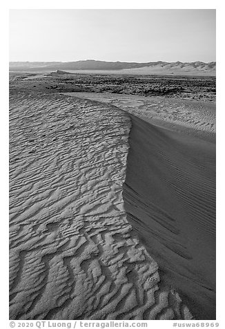 Crest of sand dunes, Hanford Reach National Monument. Washington (black and white)